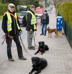 Foto: (c) Heiner Bauch